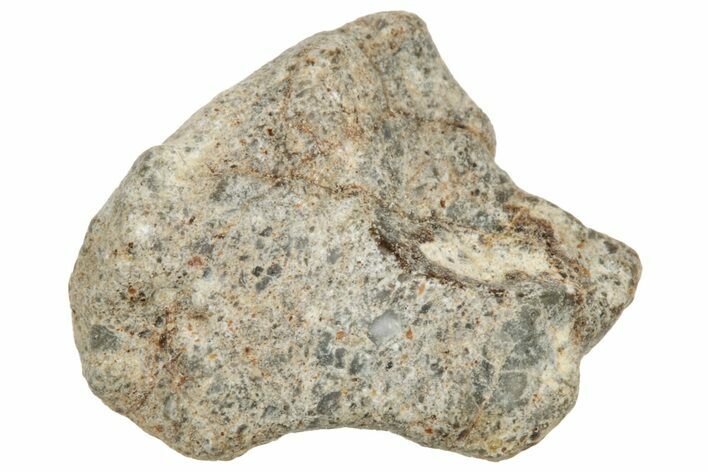 Lunar Meteorite ( g) - NWA #304738